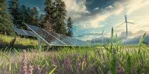 renewal energy